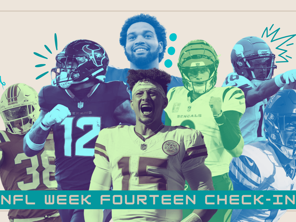 NFL Week Fourteen&nbsp;Check-In