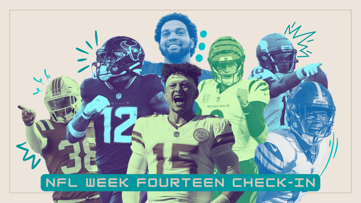 NFL Week Fourteen&nbsp;Check-In